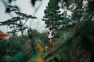 BIB: 
                            <button type="button" onclick="openModal(25258489)" class="btn btn-primary btn-sm float-right btn-popup" data-toggle="modal" data-target=".modal-high-quality">
                        <i class="fas fa-shopping-cart"></i> Add to Cart
                    </button>
                                            <button type="button" onclick="isThisMe(25258489, true)" class="btn btn-success btn-sm float-right btn-popup btn-isme hidden" data-toggle="tooltip" data-placement="bottom" title="นี่คือรูปของคุณใช่ไหม คลิกที่นี่เพื่อเอาเข้าอัลบั้ม">
                        <i class="fas fa-plus"></i> Add to album
                    </button>
                    <button type="button" onclick="isThisMe(25258489, false)" class="btn btn-warning btn-sm float-right btn-popup btn-isnotme hidden">
                        <i class="fas fa-ban"></i> Remove from album
                    </button>